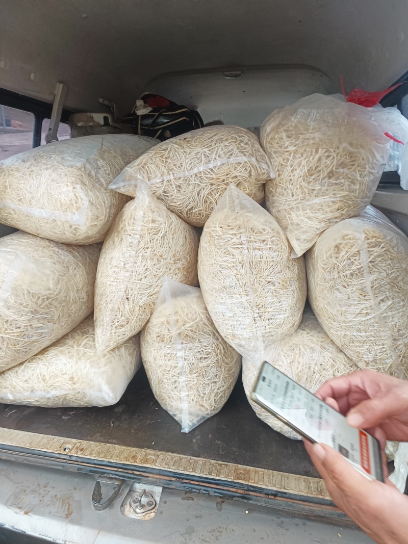 供应苤菜根纯根