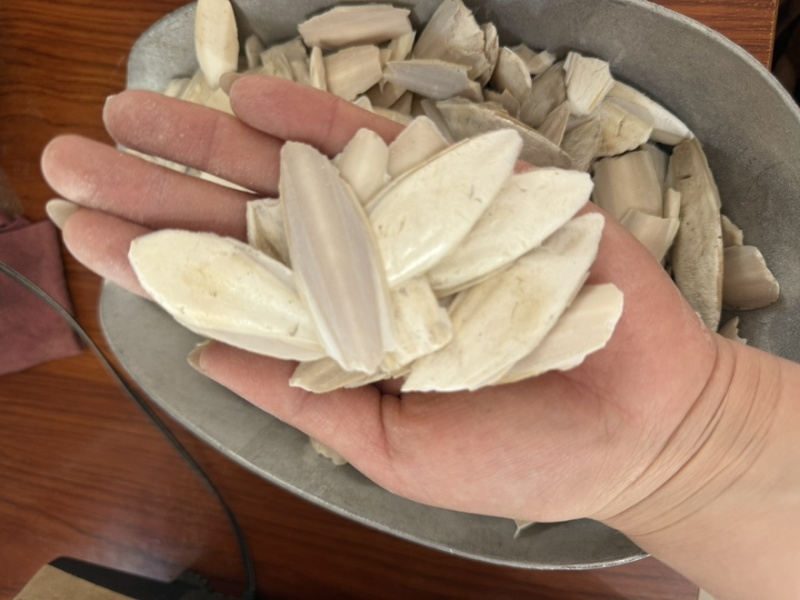 海螵蛸产地广西无硫无杂质