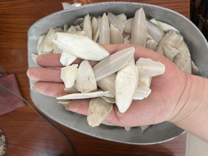 海螵蛸产地广西无硫无杂质
