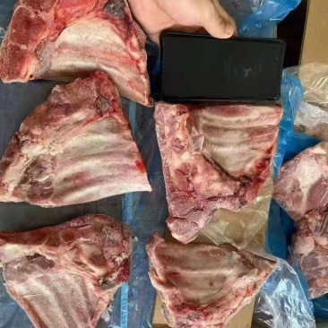多肉小排