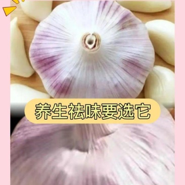 大蒜