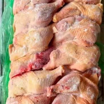 二级种鸡排腿8400边腿6400东北货干干货