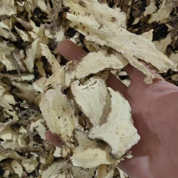 精品湖北独活