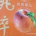 砀山礼品级黄桃罐头精选黄桃为原材料包邮损坏包赔