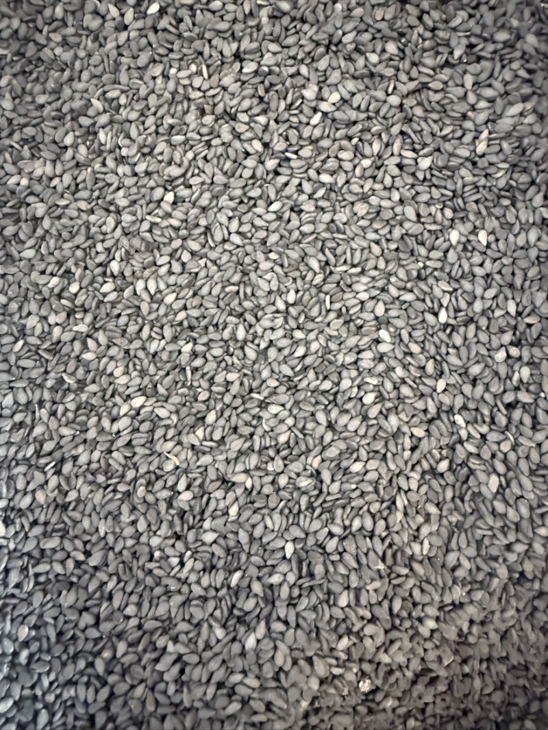 黑芝麻色选黑芝麻质量保证