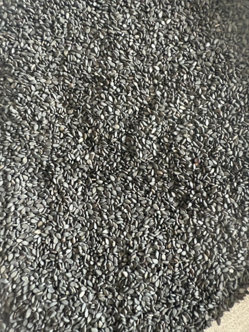 黑芝麻色选黑芝麻质量保证
