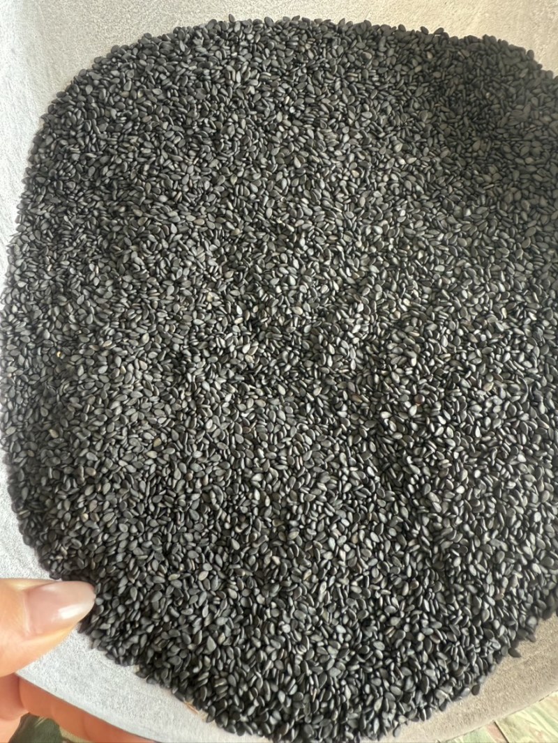 黑芝麻色选黑芝麻质量保证