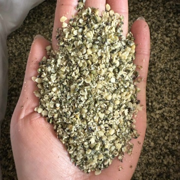 火麻仁中药材批发火麻仁质量保证