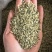 火麻仁中药材批发火麻仁质量保证