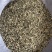 火麻仁中药材批发火麻仁质量保证