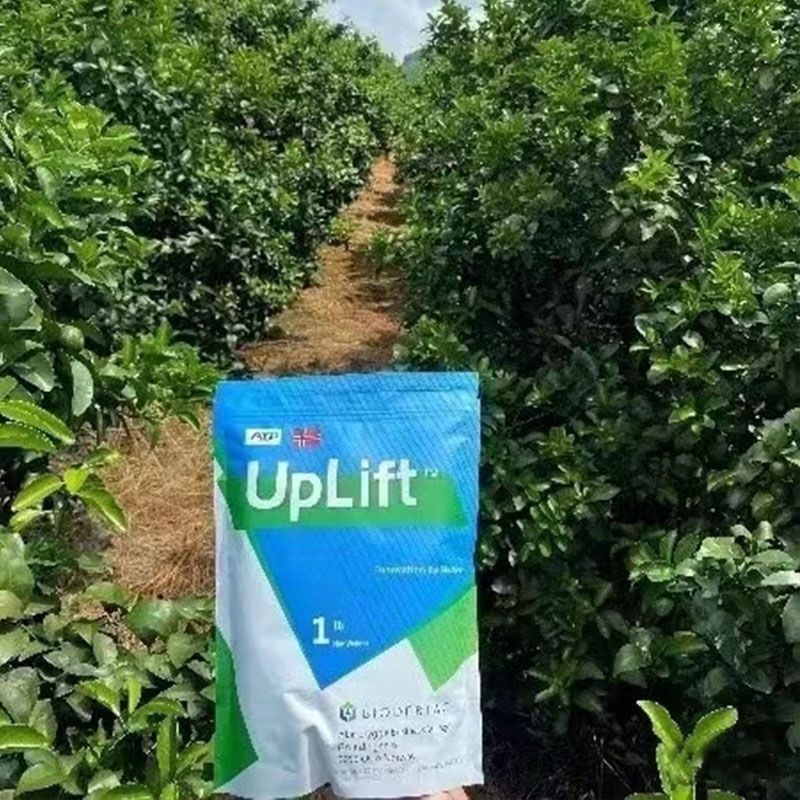 万乐秀中微量元素水溶肥为土壤微生物提供营养解除逆境胁迫