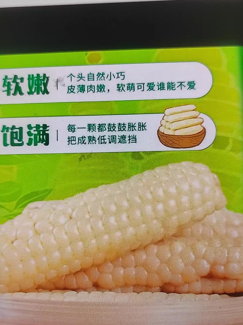 新鲜现摘云南水果甜玉米金银双色生熟两吃多汁带皮爆浆棒子苞