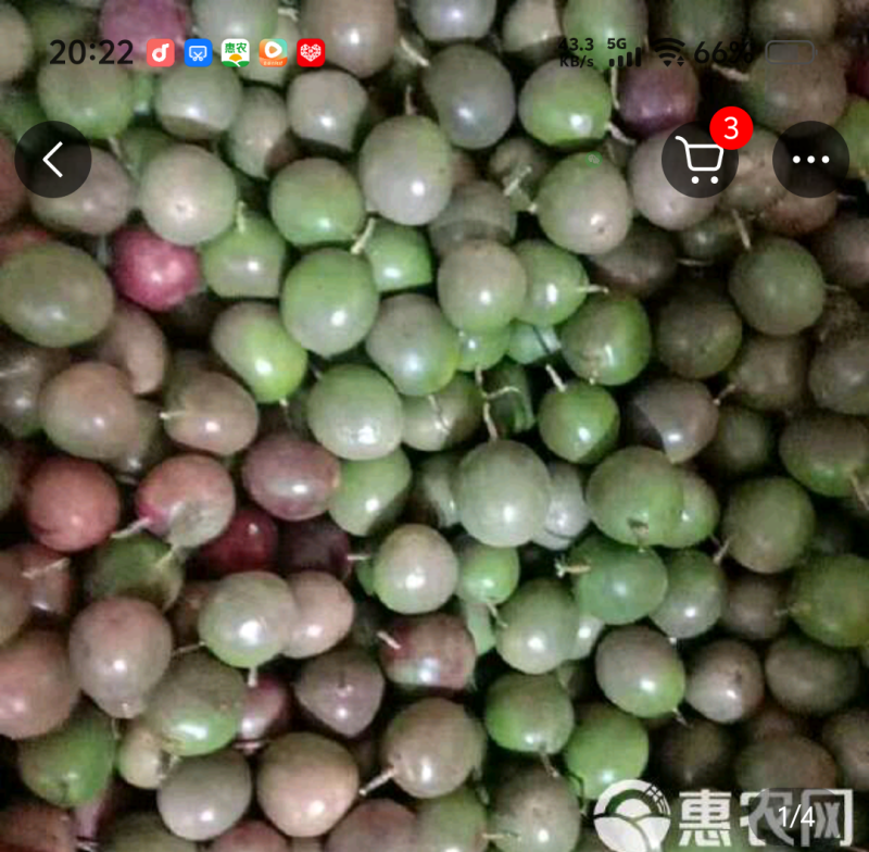 云南普洱百香果包邮