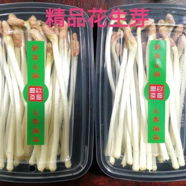 水培花生芽（200克盒装）量大从优价格美丽欢迎咨询
