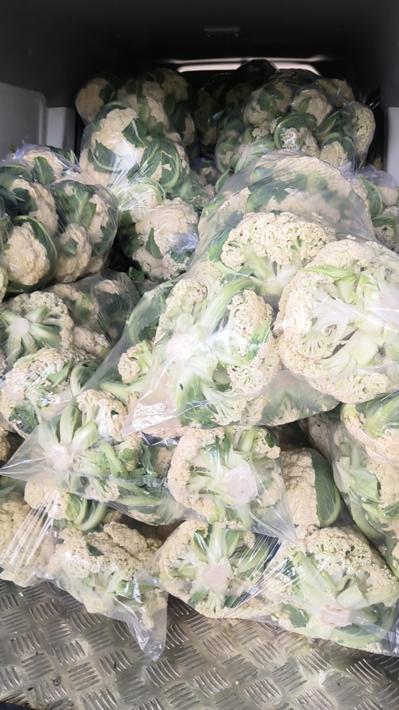 徐州花菜大量上市