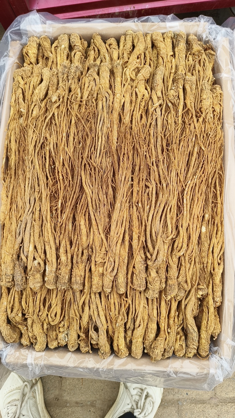 精品水洗黄当归有硫产地直发一手货源