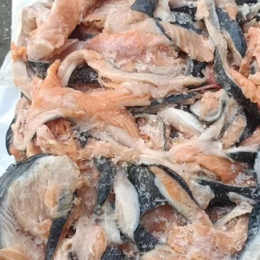 三文鱼碎肉12吨左右