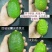 广东无子香水柠檬