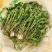 辽宁婆婆丁野菜蒲公英鲜货大量上市对接餐饮市场商超平台