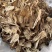 甘肃岷县当归中药材正品野生煮鸡蛋当归干货当归片泡水煲汤纯