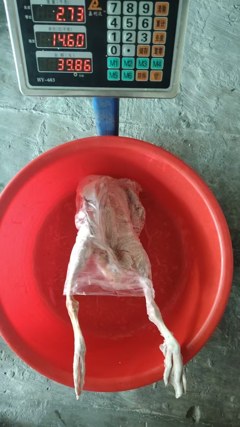 2年以上的老鹅12.5一斤，联系***********