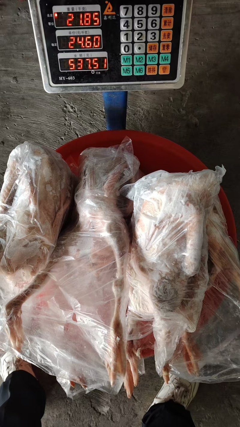 2年以上的老鹅12.5一斤，联系***********