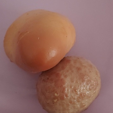 鸡宝