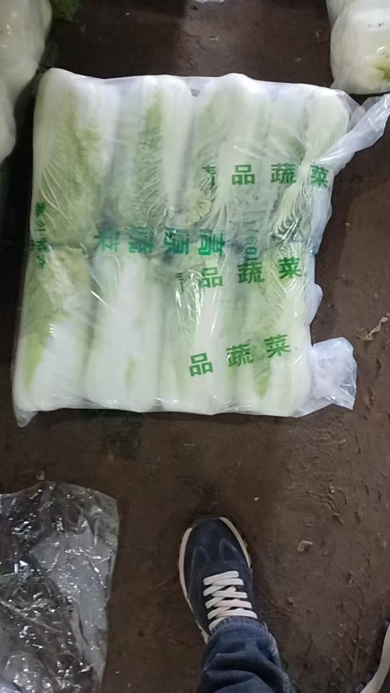 河北北京3号白菜大量供应产地直发保质保量欢迎随时联系看货