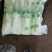 河北北京3号白菜大量供应产地直发保质保量欢迎随时联系看货