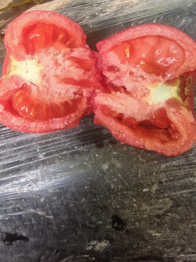 硬粉西红柿山东西红柿产地一手货源，规格齐全，价格来电可谈