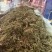 伸筋草