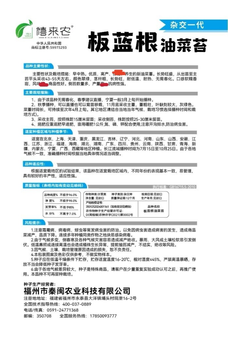 板蓝根青菜种子油菜苔种子中早熟春秋四季种植阳台蔬菜种子