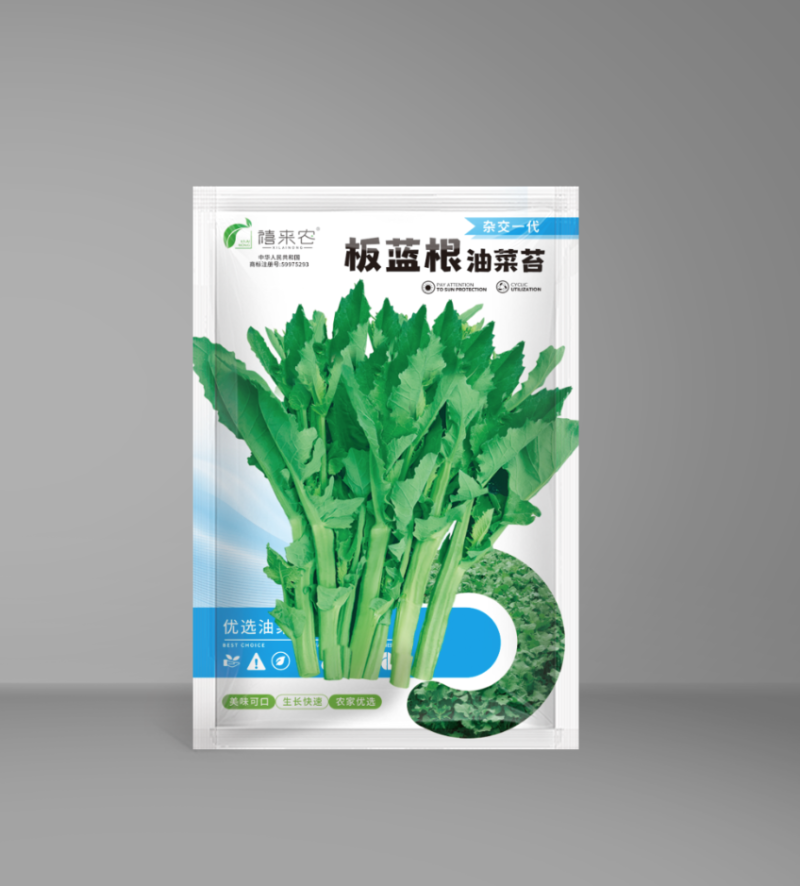 板蓝根青菜种子油菜苔种子中早熟春秋四季种植阳台蔬菜种子