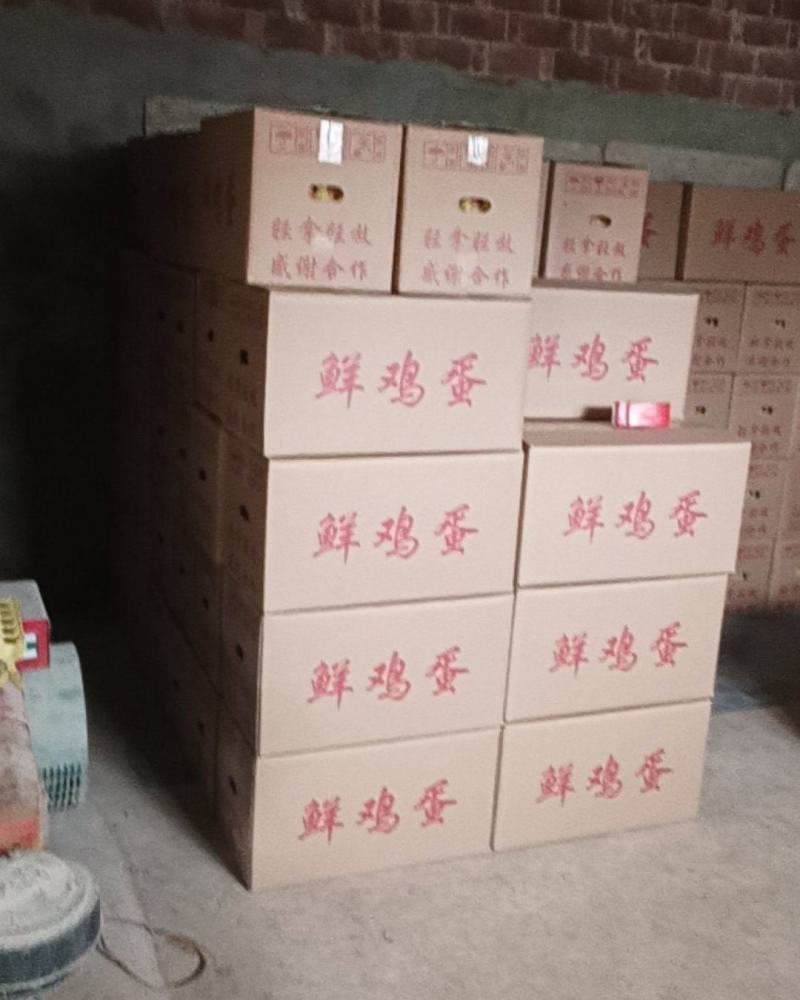 鲜鸡蛋，吃玉米粒米糠等。