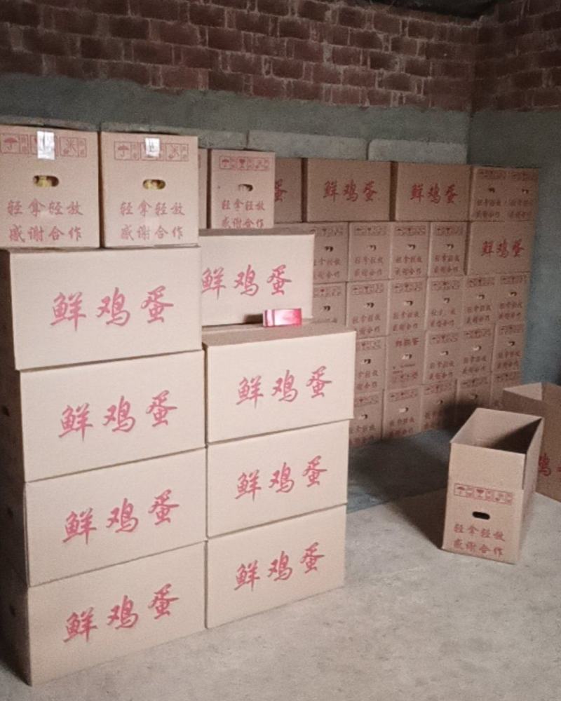 鲜鸡蛋，吃玉米粒米糠等。