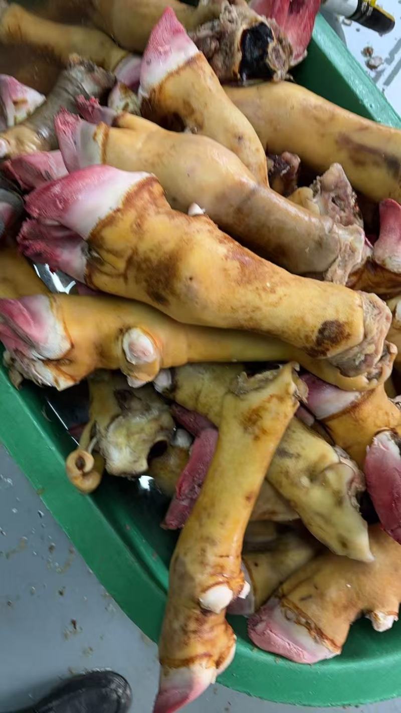 火烧带骨牛蹄，公牛蹄，厂家直销，
