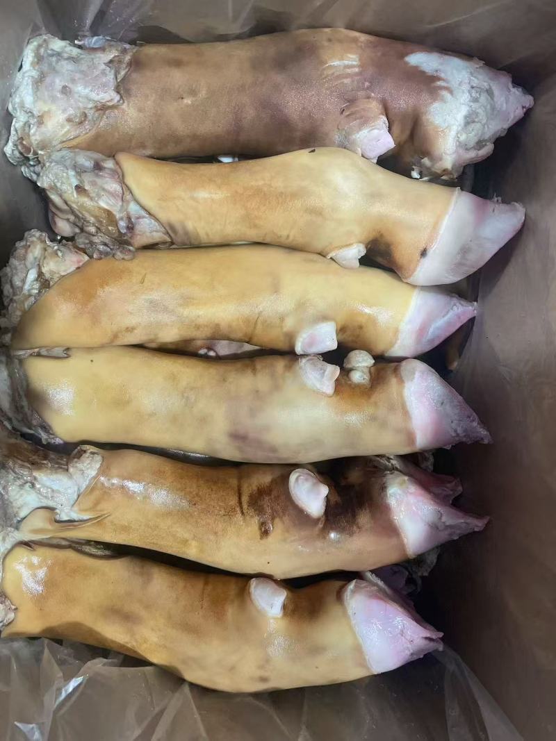 火烧带骨牛蹄，公牛蹄，厂家直销，