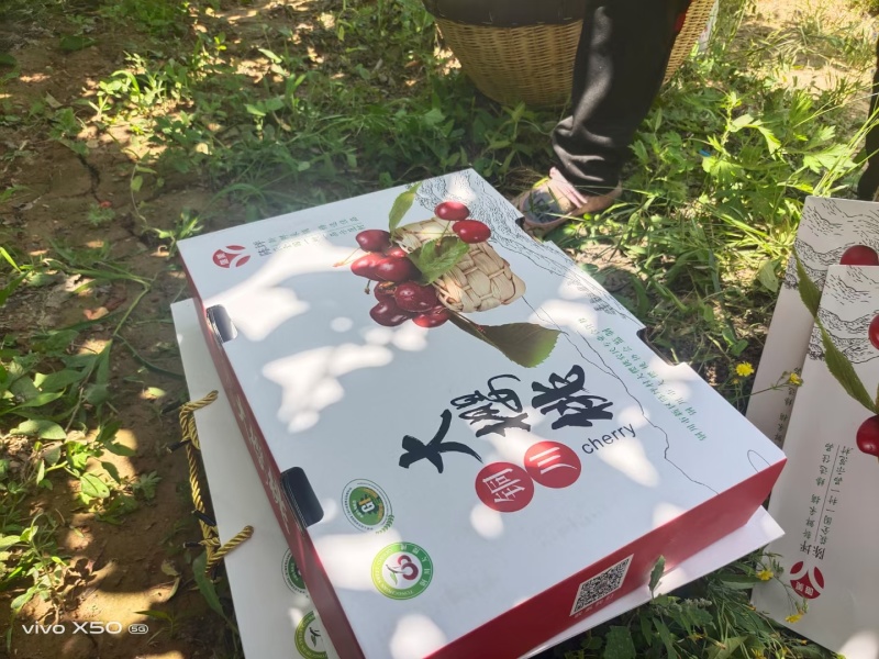 樱桃