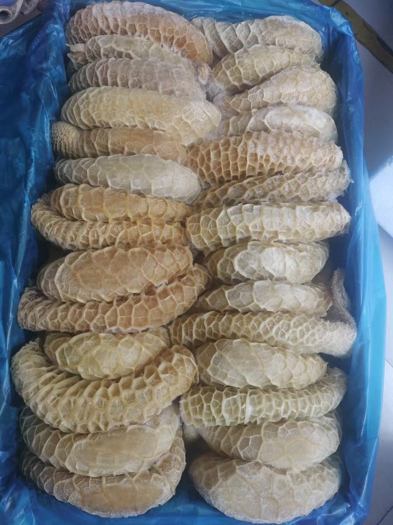 金钱肚货源充足量大从优品质保证价格实惠