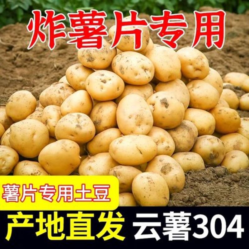 云南高原土豆【云薯304】黄心黄皮/规格齐全/全国发货