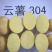 云南高原土豆【云薯304】黄心黄皮/规格齐全/全国发货