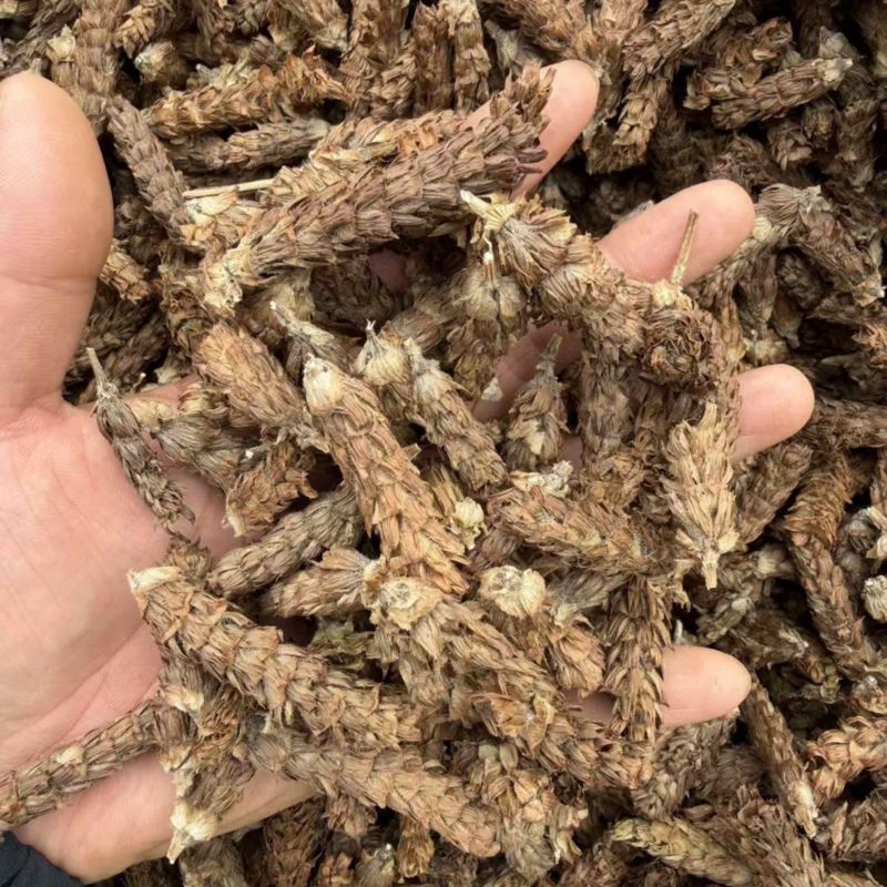 夏枯球精品货质量保证量大从优