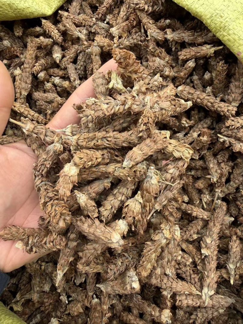 夏枯球精品货质量保证量大从优