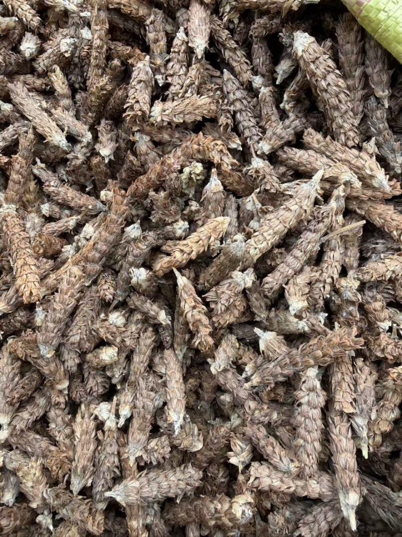 夏枯球精品货质量保证量大从优