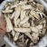 无硫白芷大斜片，过筛片大