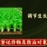 智农丰14羟基芸苔素甾醇植物生长调节剂促根促长提产