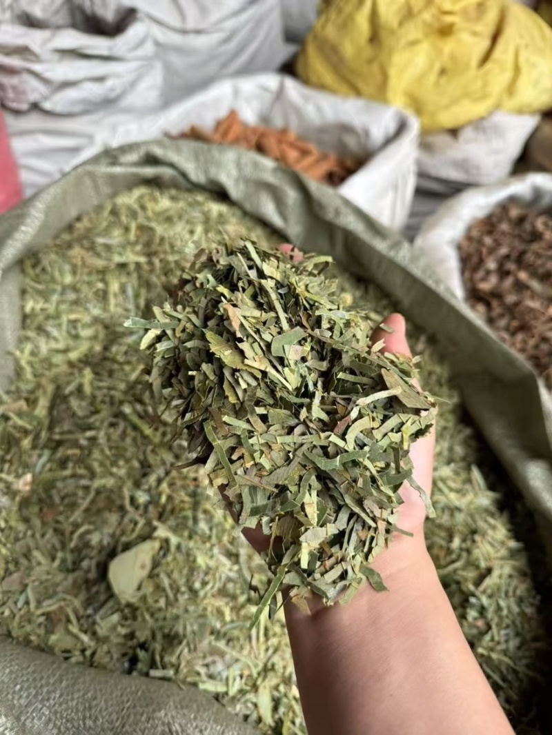 桂叶，青绿色桂叶丝