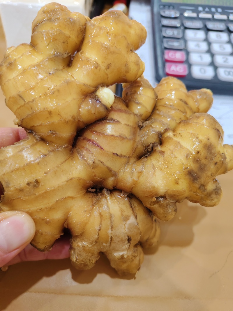 贵州二黄姜