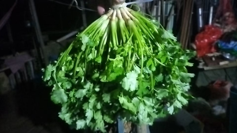 精品香菜，品种齐全，一手货源，产地直发，欢迎咨询订购