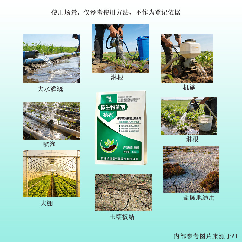 枯草芽孢菌杆菌微生物菌剂根腐农用土壤微生物菌剂有机肥